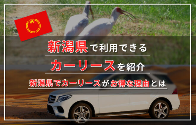 新潟のカーリースおすすめ業者7選と新潟の車事情について解説
