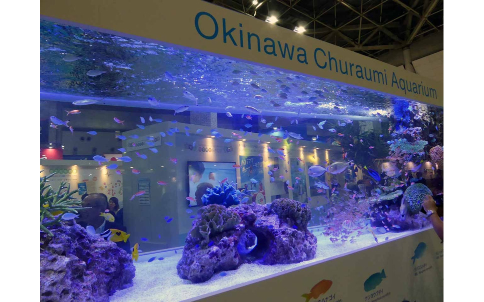 ツーリズムexpo 16 世界各国の多彩なイベントが盛りだくさん 3枚目の写真 画像 レスポンス Response Jp ツーリズムexpo 16 世界各国の多彩なイベントが盛りだくさん 3枚目の写真 画像 レスポンス Response Jp