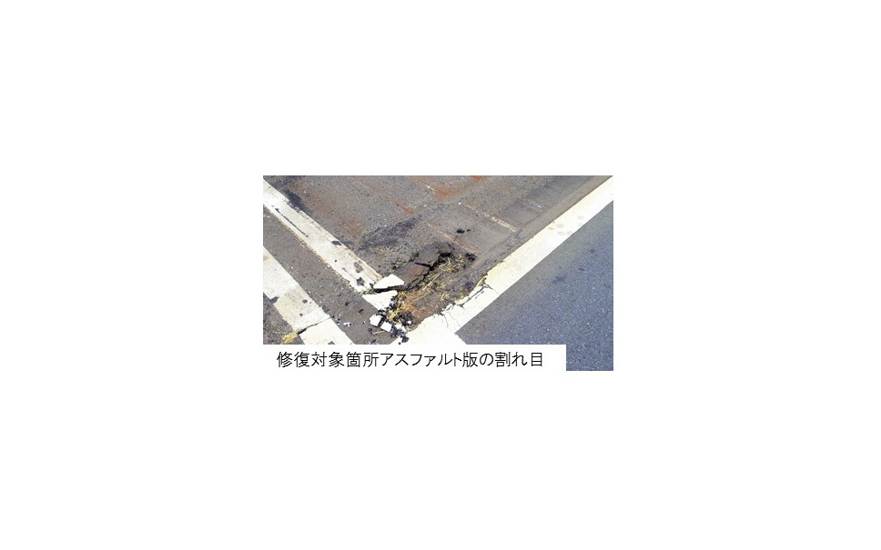 ヒアリ定着防止の緊急工事に着手 今週から68の港湾で 国交省 1枚目の写真 画像 レスポンス Response Jp