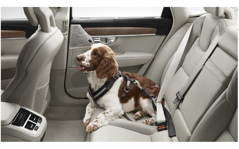 ボルボ 犬用シートベルトなどを出展予定 インターペット19 1枚目の写真 画像 レスポンス Response Jp