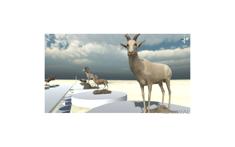 非公開の剥製コレクションをvrとして配信 国立科学博物館 リアニマル 4枚目の写真 画像 レスポンス Response Jp