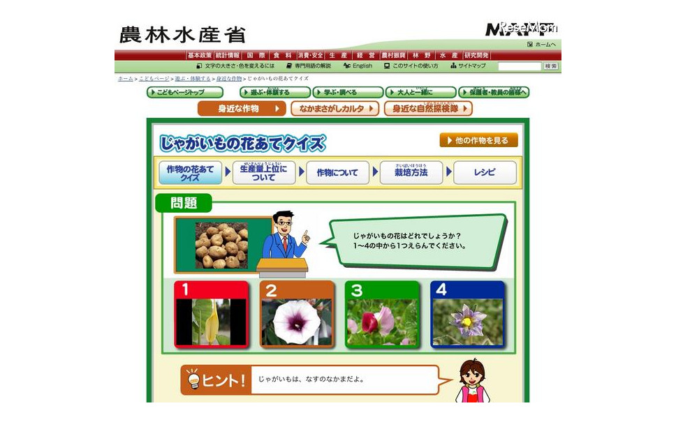 じゃがいもの花はどれ 農水省 こどもページ がリニューアル 2枚目の写真 画像 レスポンス Response Jp