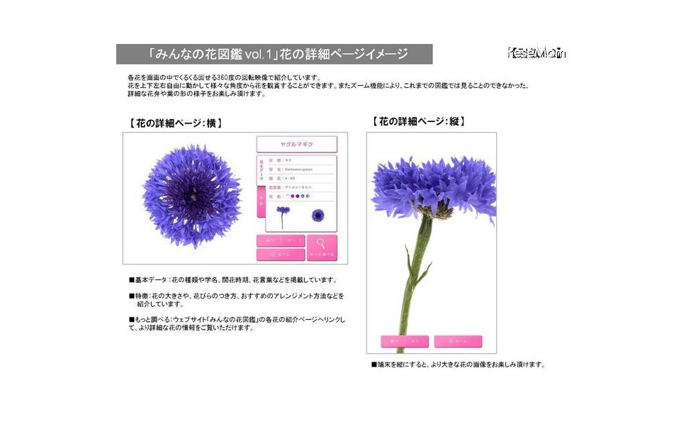 みんなの花図鑑 の人気コンテンツ 2枚目の写真 画像 レスポンス Response Jp みんなの花図鑑 の人気コンテンツ 2枚目の写真 画像 レスポンス Response Jp