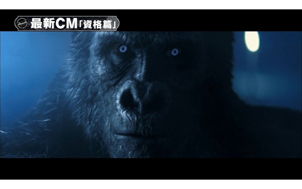 新型ヴェルファイア 実物大ラジコンが完成 お披露目ムービー公開 4枚目の写真 画像 レスポンス Response Jp 新型ヴェルファイア 実物大ラジコンが完成 お披露目ムービー公開 4枚目の写真 画像 レスポンス Response Jp