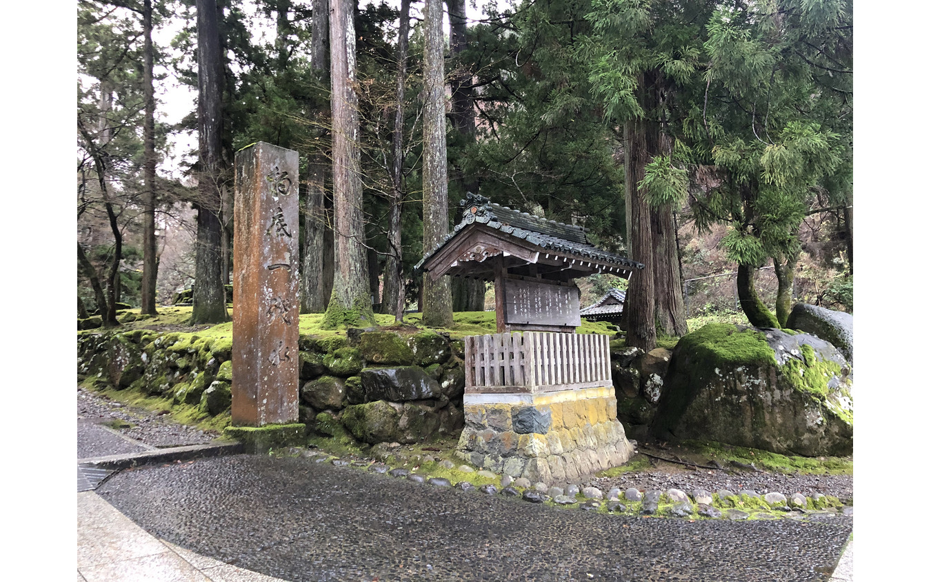 永平寺町MaaS