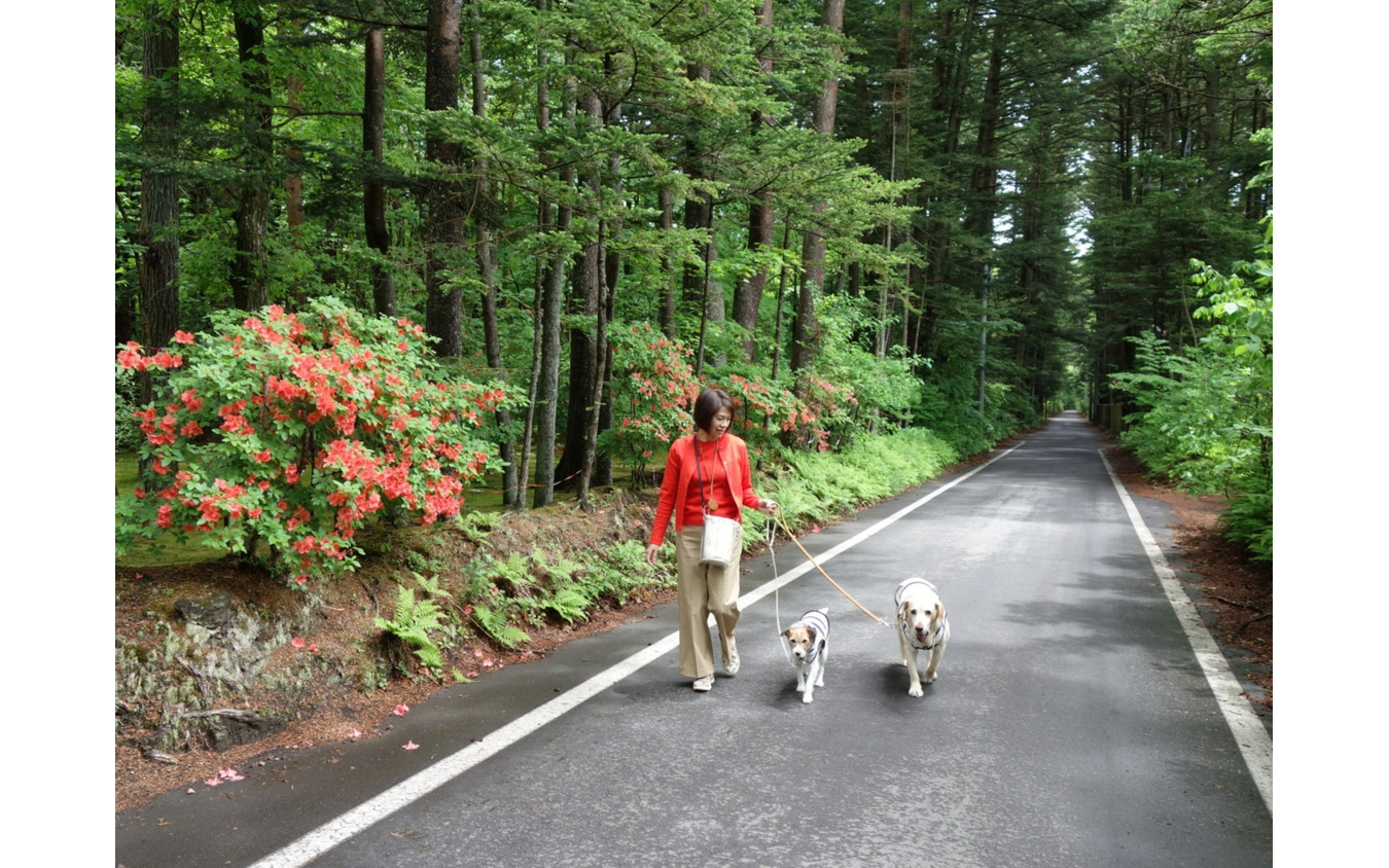 温泉と食事が魅力の愛犬同伴型温泉宿6選