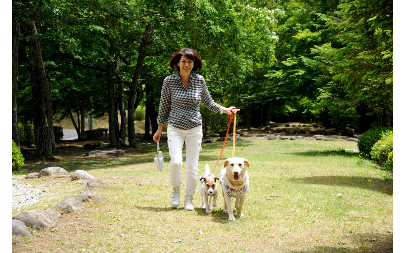 部屋食＆個室ダイニングがある愛犬同伴専門リゾートホテル