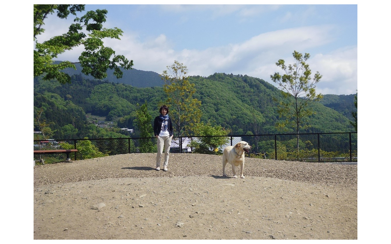 ドライブ時、正しい愛犬の乗せ方