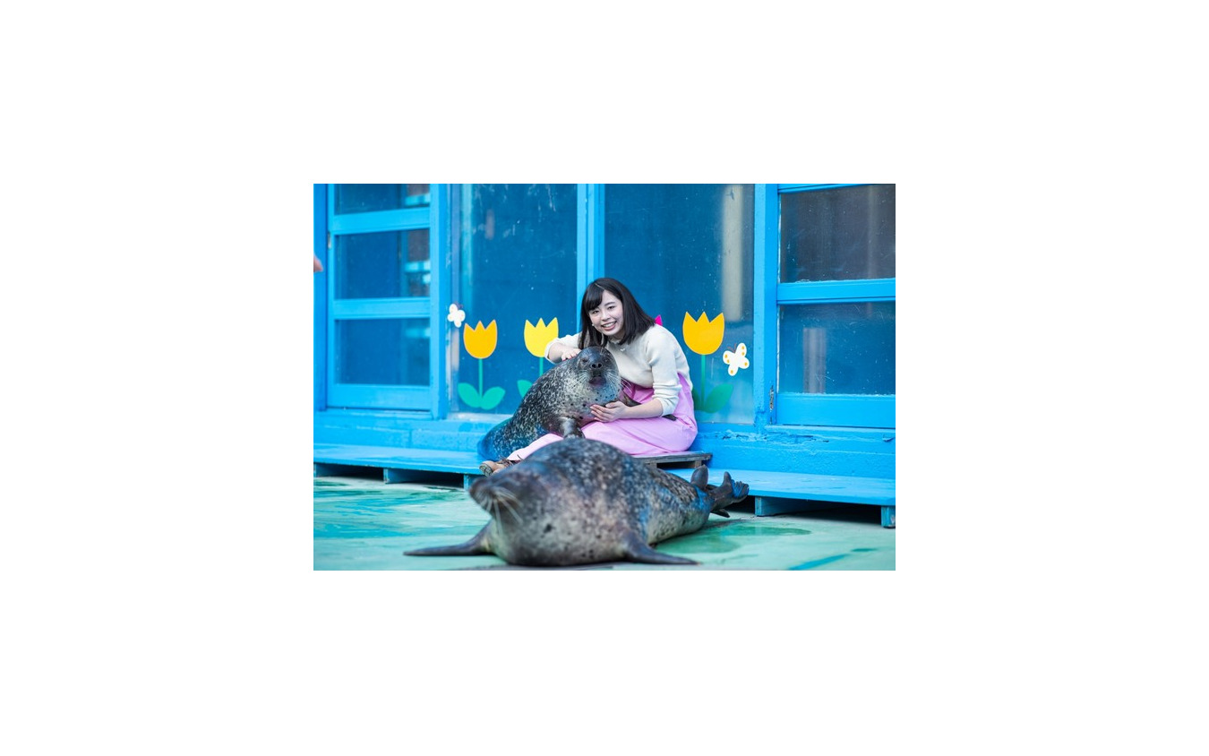 伊勢シーパラダイス「ゴマちゃんをひざ枕体験」(8月31日まで)