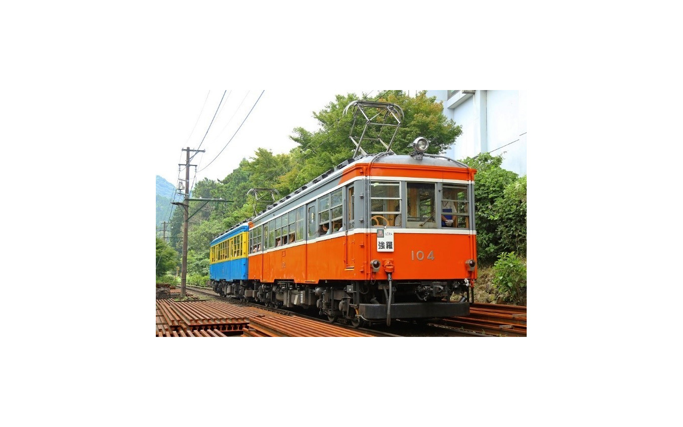 ツアーでは箱根湯本駅から箱根登山鉄道のモハ1・2に乗車し、強羅まで往復。ライトアップされたあじさいを楽しむことができる。