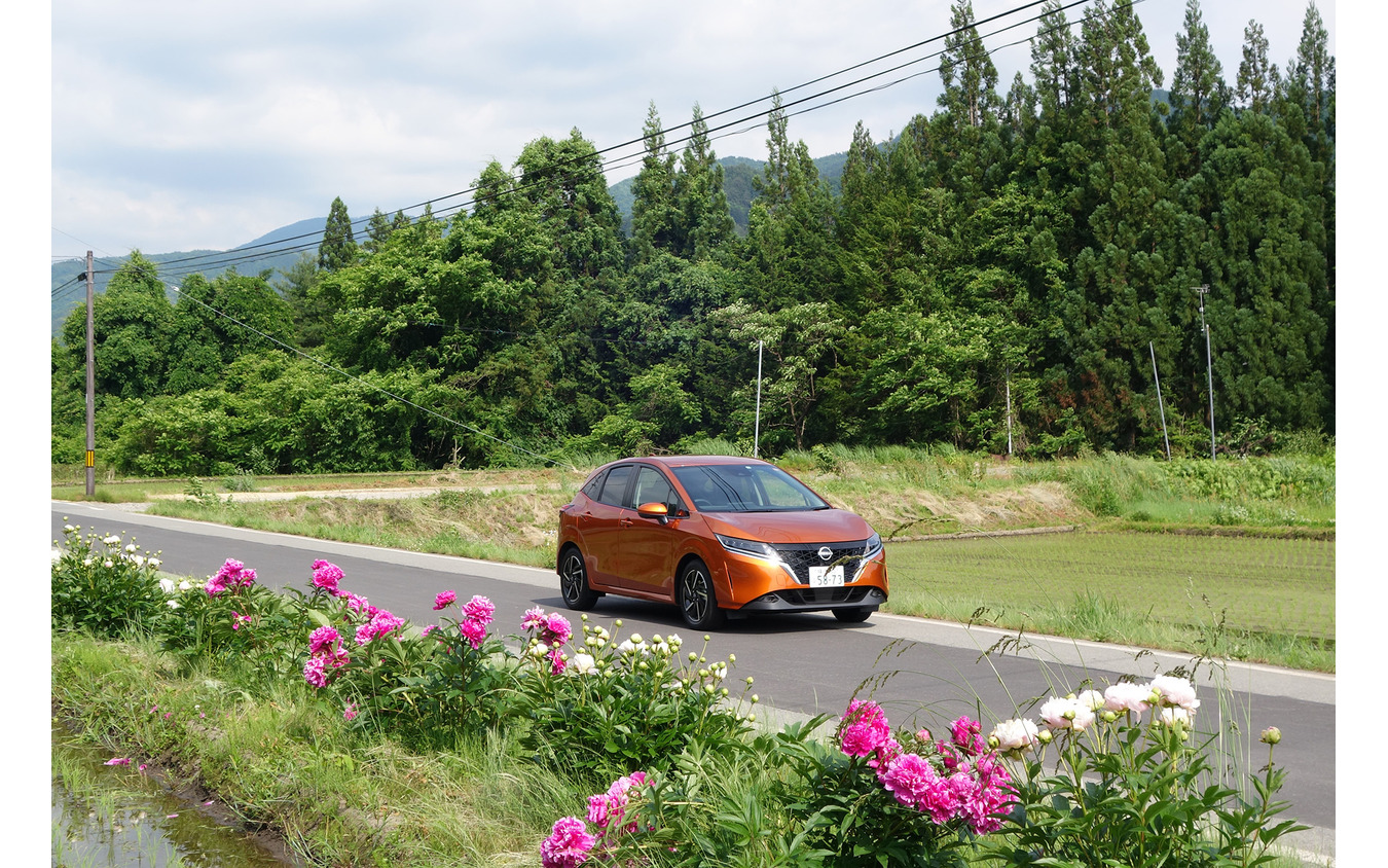 奥飛騨路は街道沿いにしゃくなげの花が咲く。