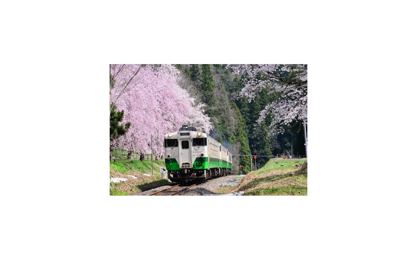 東北地域本社色のキハ40。現在は千葉県の小湊鐵道で運行されている。