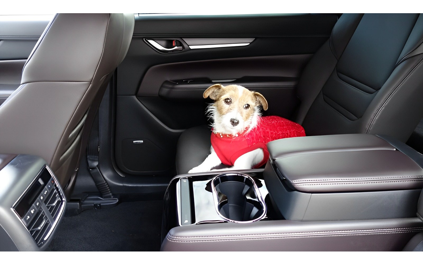 「こっそり」試乗済みの自動車評論犬(?)ララ