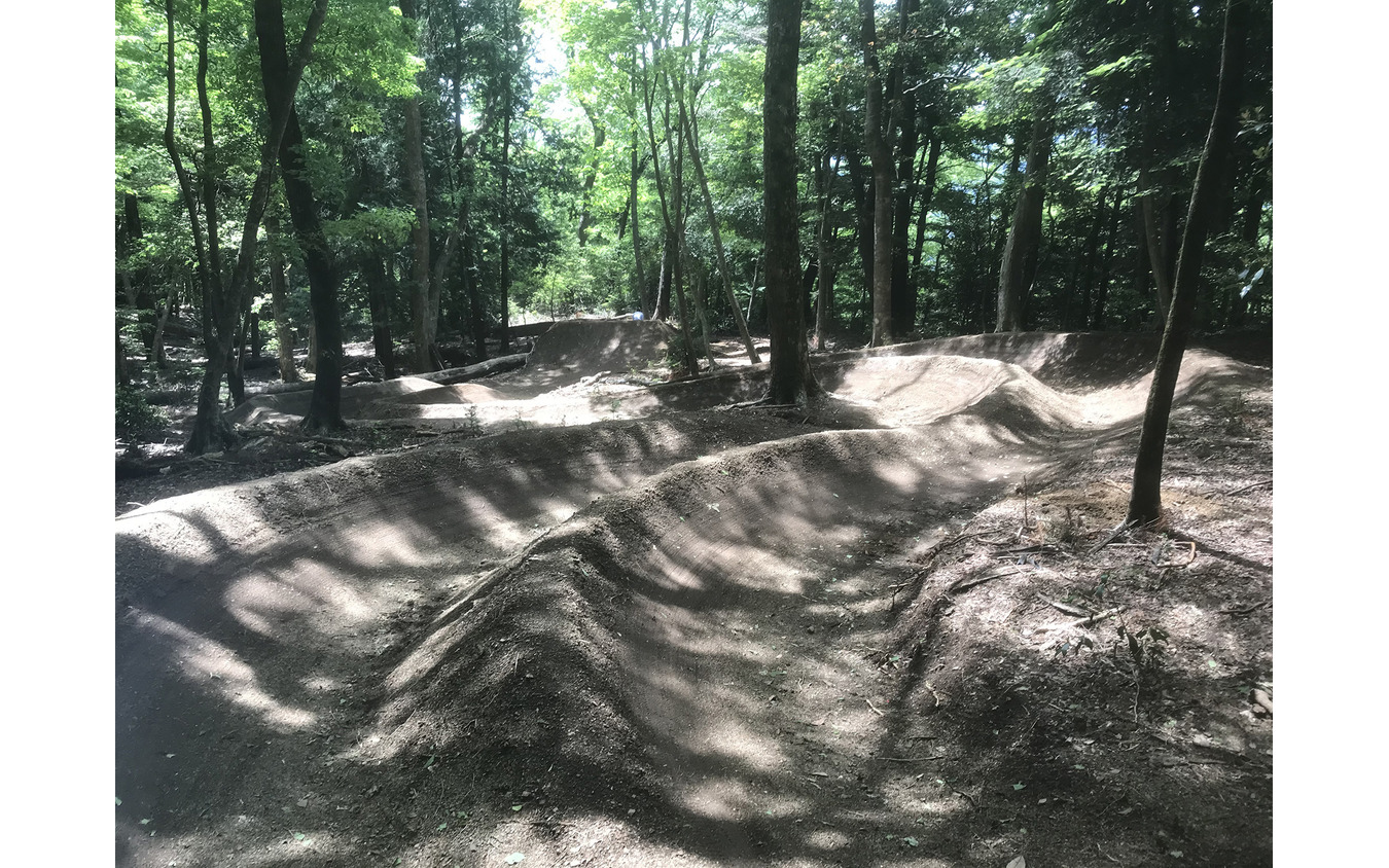 ミリオンペタル バイクパークのMTBコース（静岡県森町）