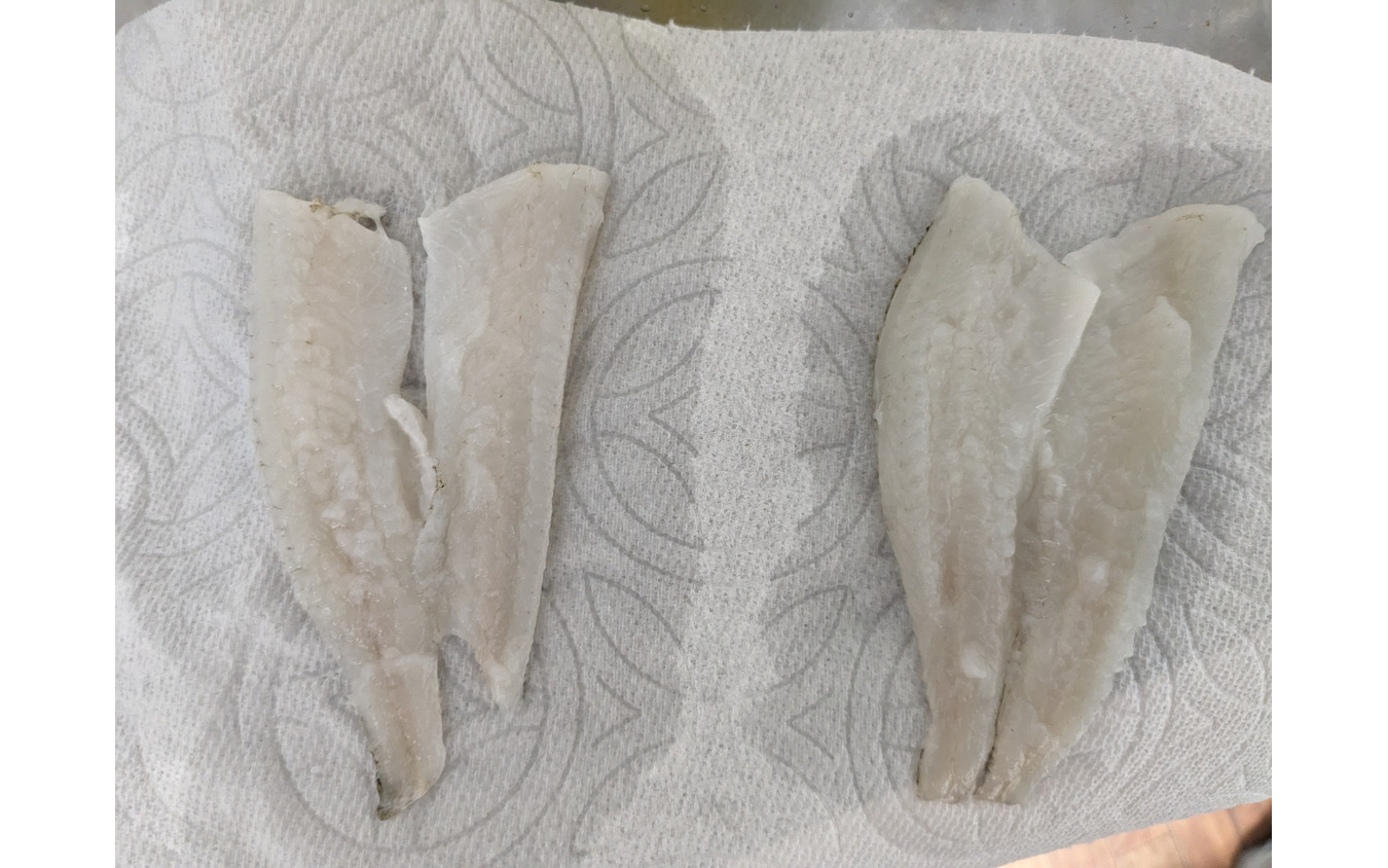 あらかじめ準備しておけば車内で調理どころか魚の下処理もできちゃいます。