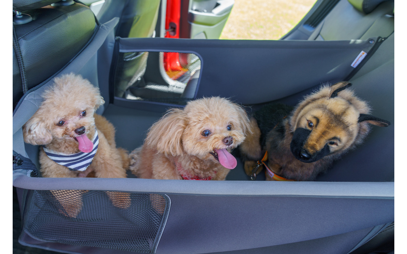 「ペットシートサークル」は小型犬なら3頭でも十分なスペースがありそうだ。