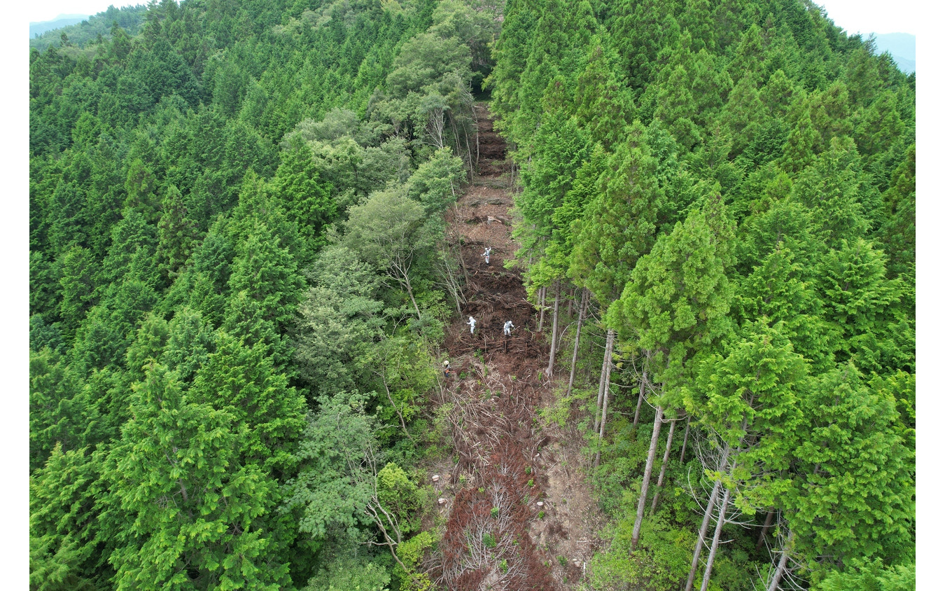 矢崎総業の林業