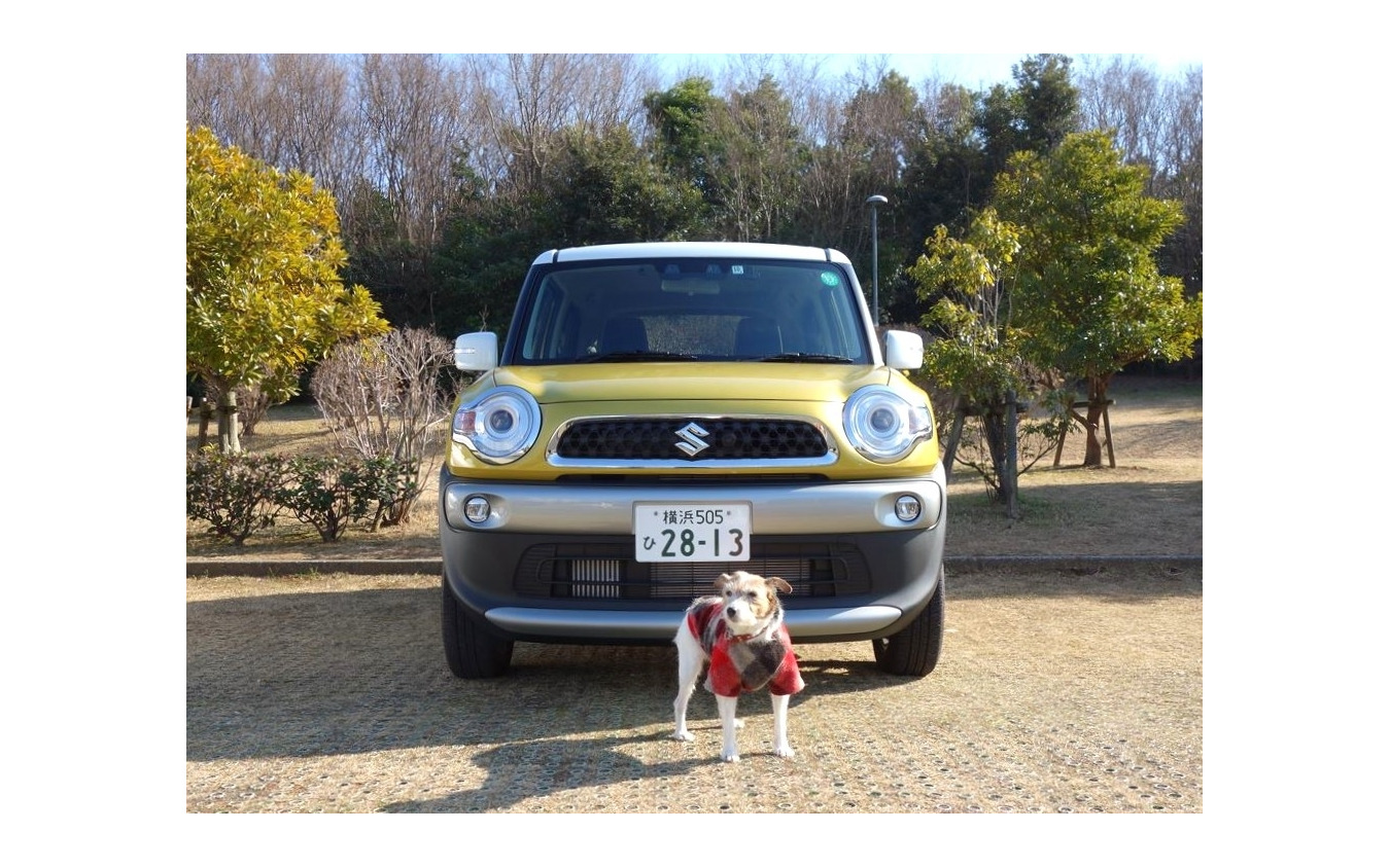 愛犬とドライブ