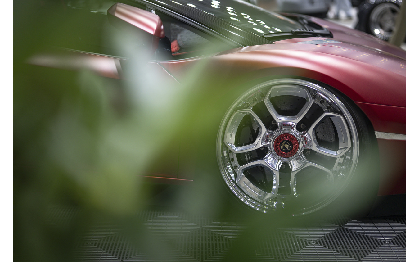 MOONTECH / WEKFEST