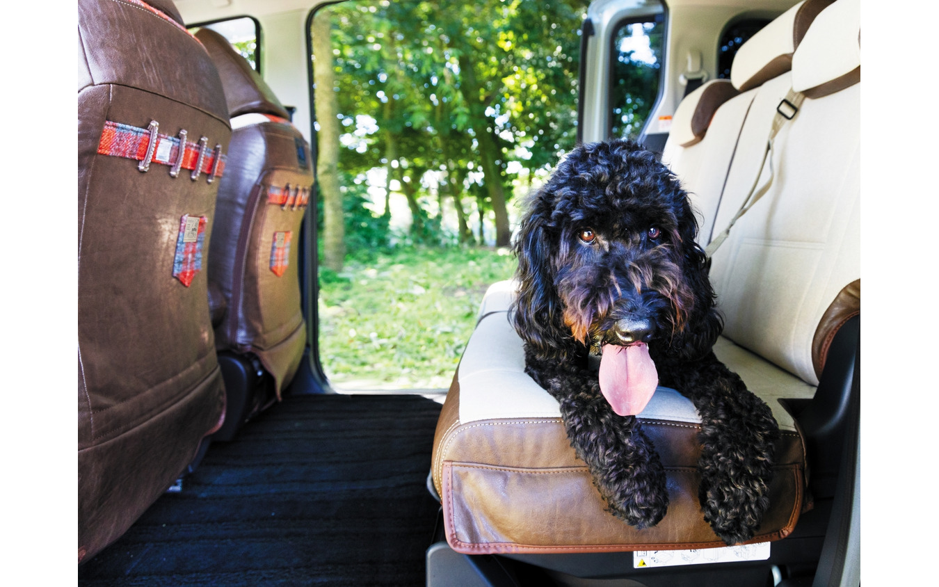 トイファクトリー、愛犬家向け新シートカバー「to.mo.ne.(と・も・に) シートカバー【IRISH Style】」を新発売