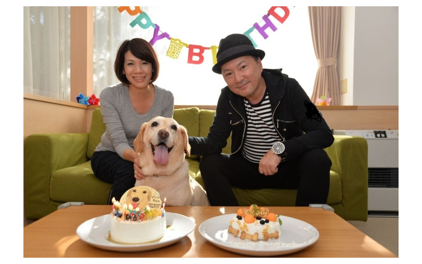 後で悔やんでも遅い! 愛犬とドライブ旅行を重ねる意味と理由