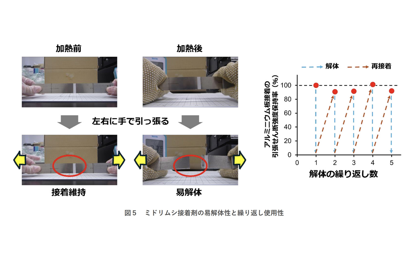 繰り返し使用できるミドリムシ接着剤