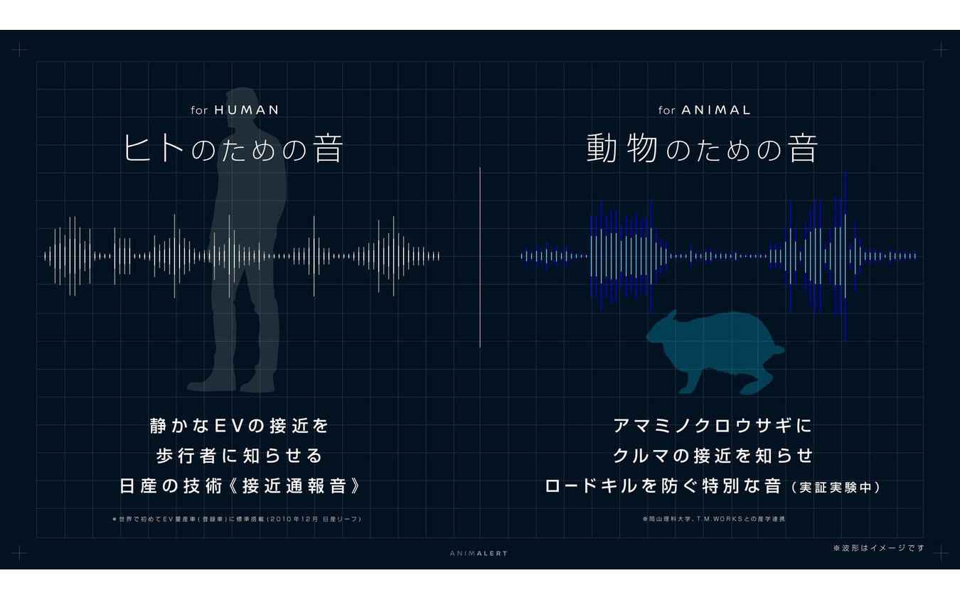 日産テクニカルセンターでの高周波音特性の分析、奄美現地での設置型実験を行った