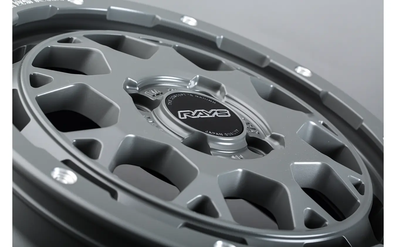 TEAM DAYTONA M9+ COLLECTION セミグロスアームズグレー
