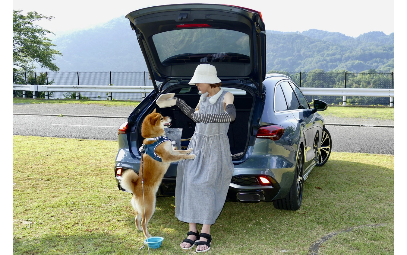 アウディAs Avant TFSI quattro 150kW S Line