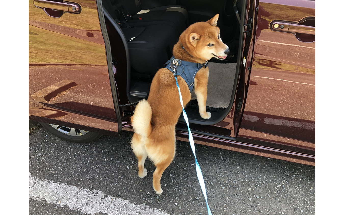 スズキ・ソリオ バンディット HYBRID MV