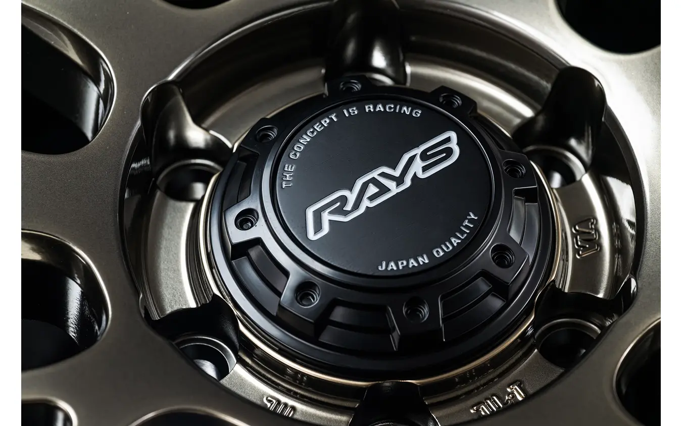 レイズ ホムラ 2x9L-RA グレイスゴールド/リムDMC