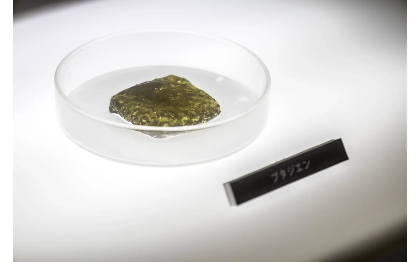 ヨコハマタイヤブース…ジャパンモビリティーショー2025