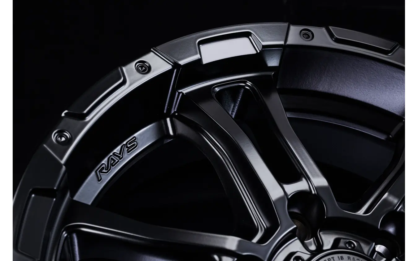 RAYS チームデイトナ FDX-AG セミグロスブラック