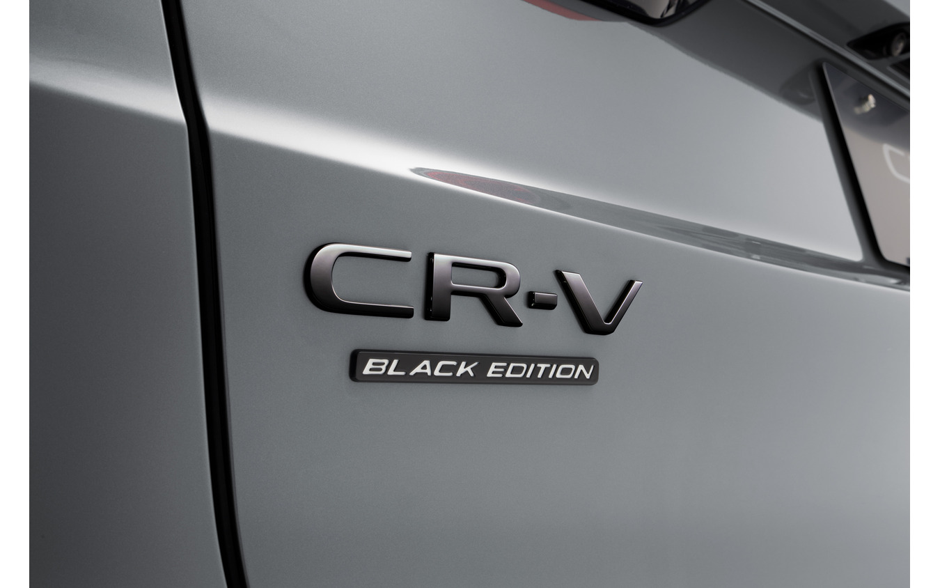 定番の「ブラックエンブレム」