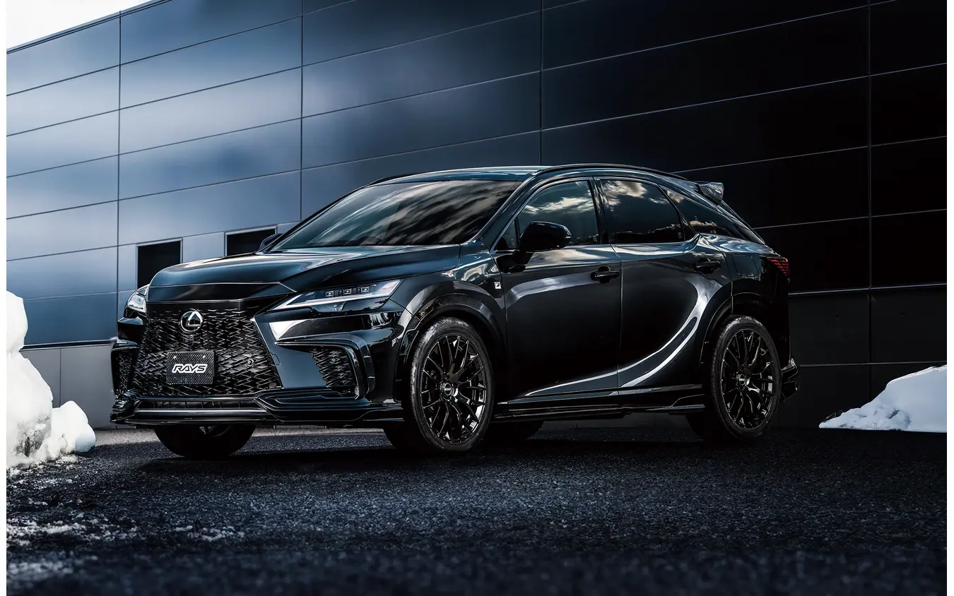 レイズ RSS HOMURA 2×9R（グロッシーブラック）× レクサス RX