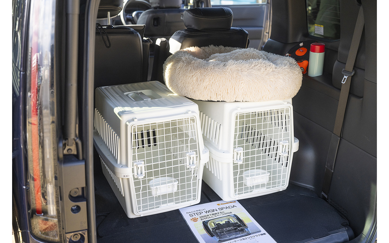 Honda Dog…Sippo Festa2025