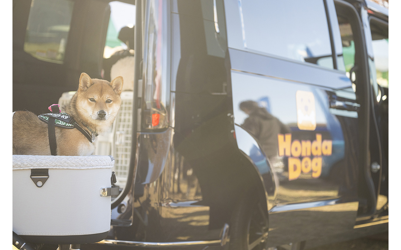 Honda Dog…Sippo Festa2025