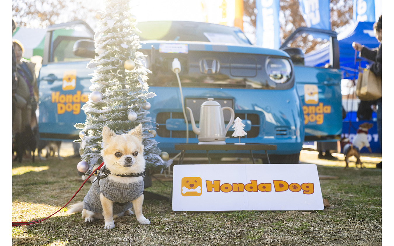 Honda Dog…Sippo Festa2025