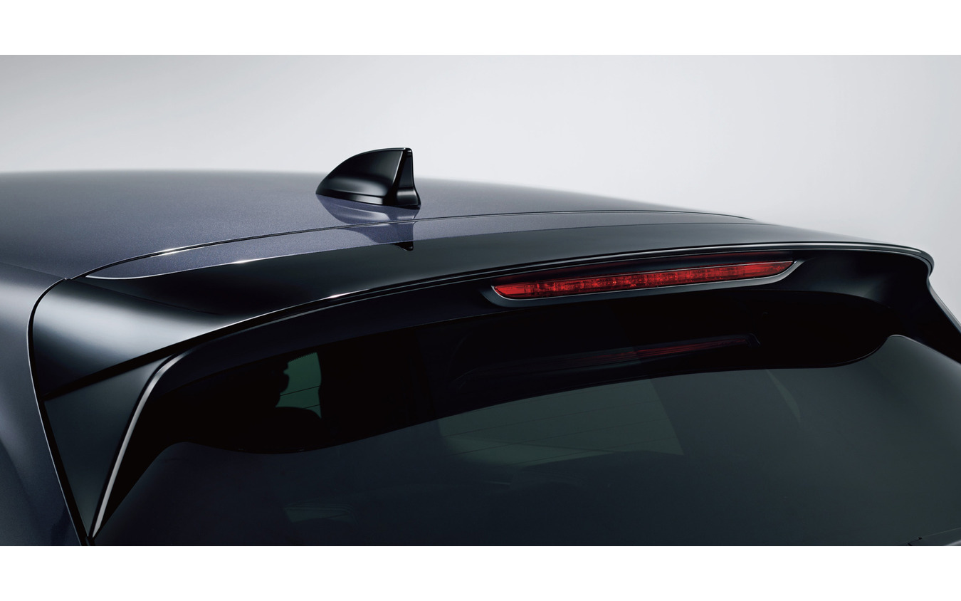 BLACK STYLE シャークフィンアンテナ＆テールゲートスポイラー