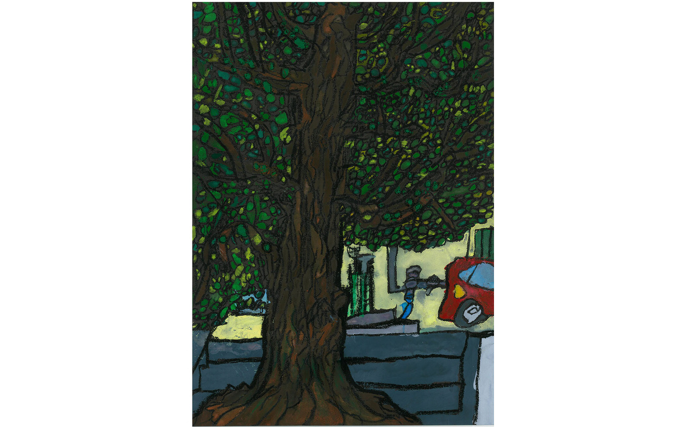 「100年生きた木」堀田 騎士さん