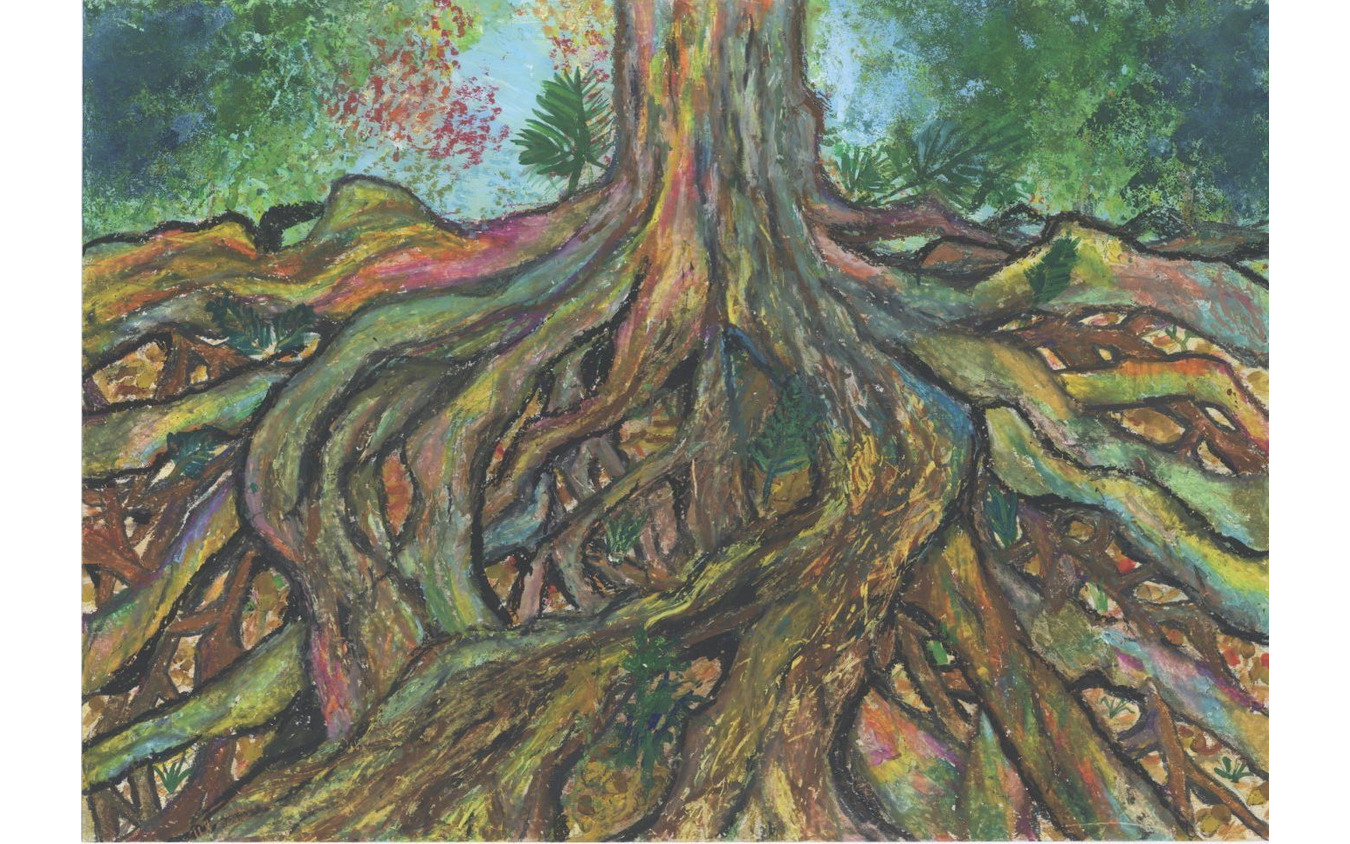 「ねっこはのびるよ！どこまでも」古賀 由悟さん