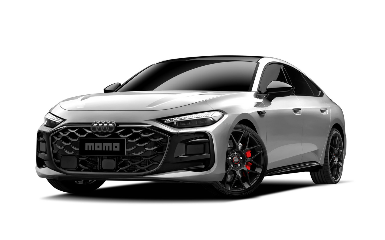 MOMO コンペティツィオーネ 装着イメージ