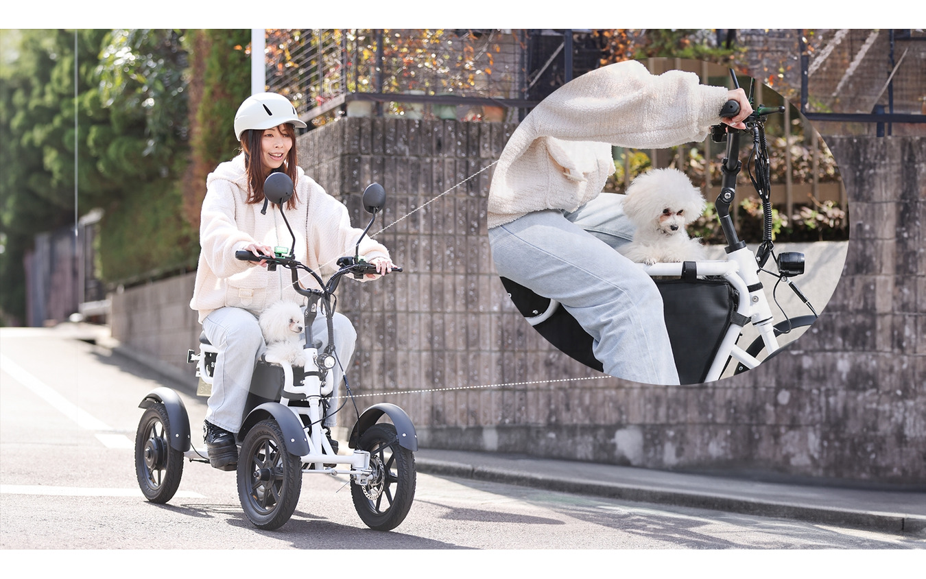 特定小型原動機付自転車「LBIRD（エルバード）」