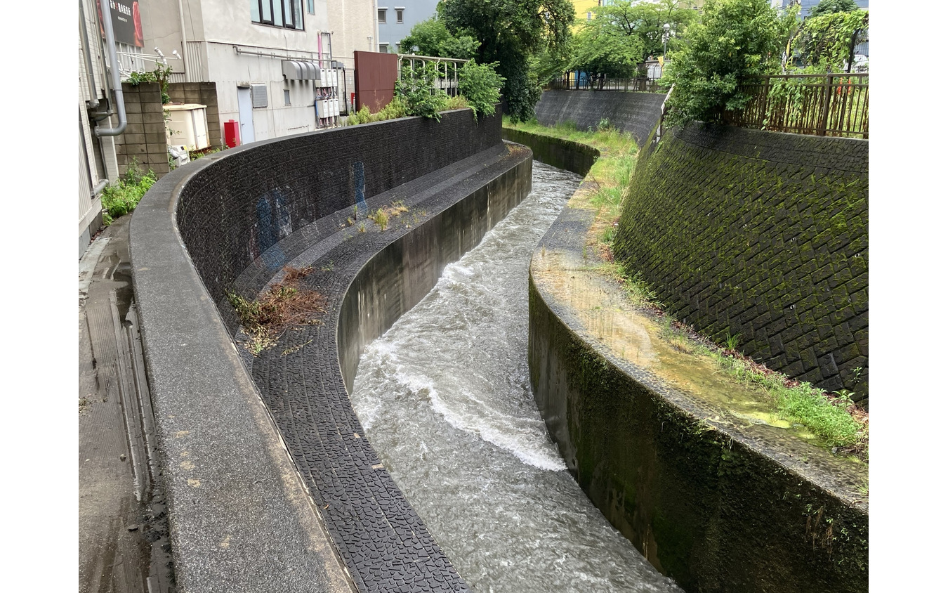 渋谷川（6月3日、東京都渋谷区）