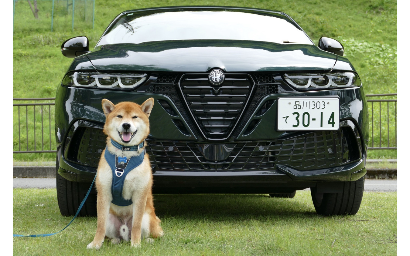 アルファロメオ トナーレ イブリダ ヴェローチェ