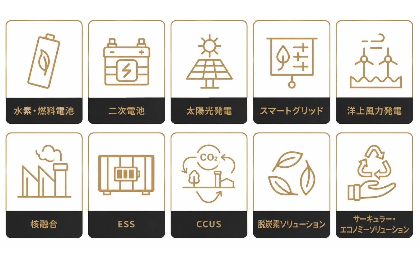 展示カテゴリー