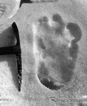 1951年にエベレスト近辺で発見された足跡。マレーシアにビッグフットは存在するのか…