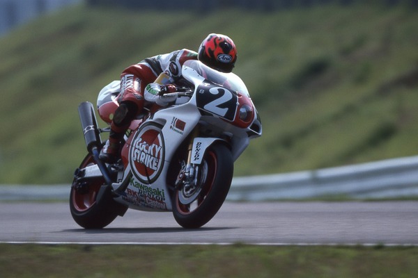 モモマメ 1204741.jpg