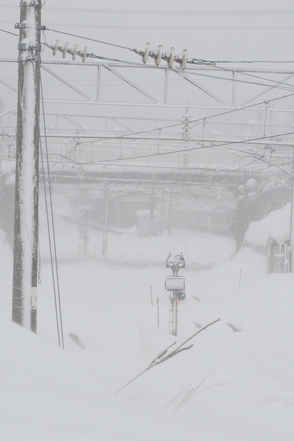 北日本に再び大雪東北新幹線仙台～盛岡間は15時頃再開の予定　1月19日の鉄道運休情報