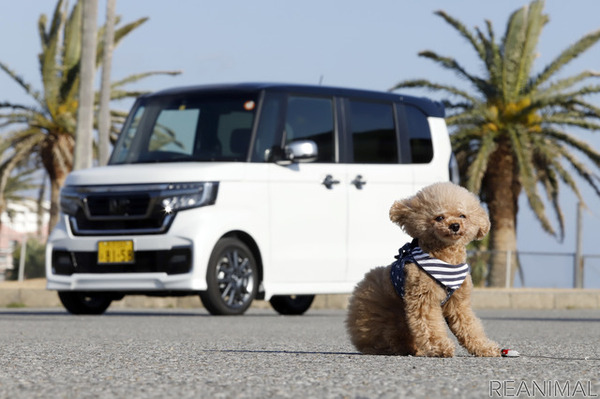 ホンダ 新型 N-BOX Customで愛犬と日帰りドライブ安全で快適なペット用アイテムが活躍